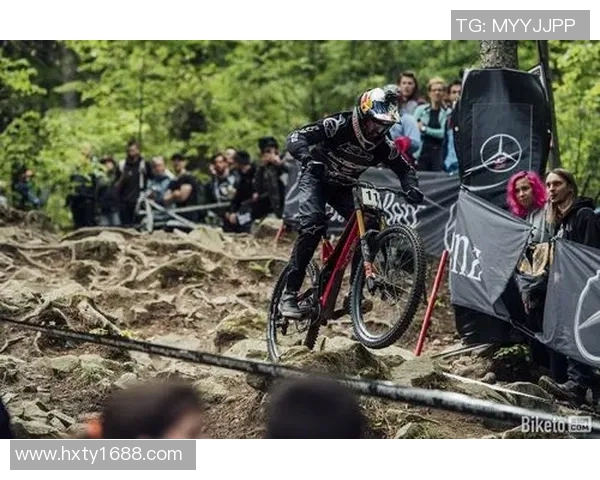 西安乒乓球队的拼搏历程与欧锦赛的荣耀追逐